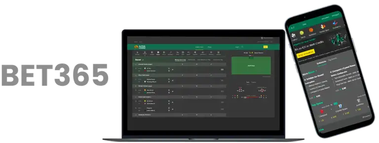 巴黎奥运,中国健儿塞,纳河畔熠熠,雪缘园即时比分网,体育赛事比分,足球篮球赛事比分,赛事数据平台,体育赛事信息