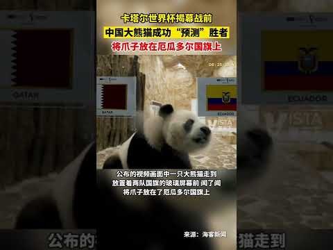 高真荣领跑,奠基人杯,尹天琪并列,雪缘园即时比分网,体育赛事比分,足球篮球赛事比分,赛事数据平台,体育赛事信息